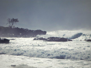 North Shore, Hawaje- ulubione miejsce surfer&oacute;w