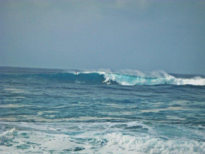 North Shore i wielkie tuby fale